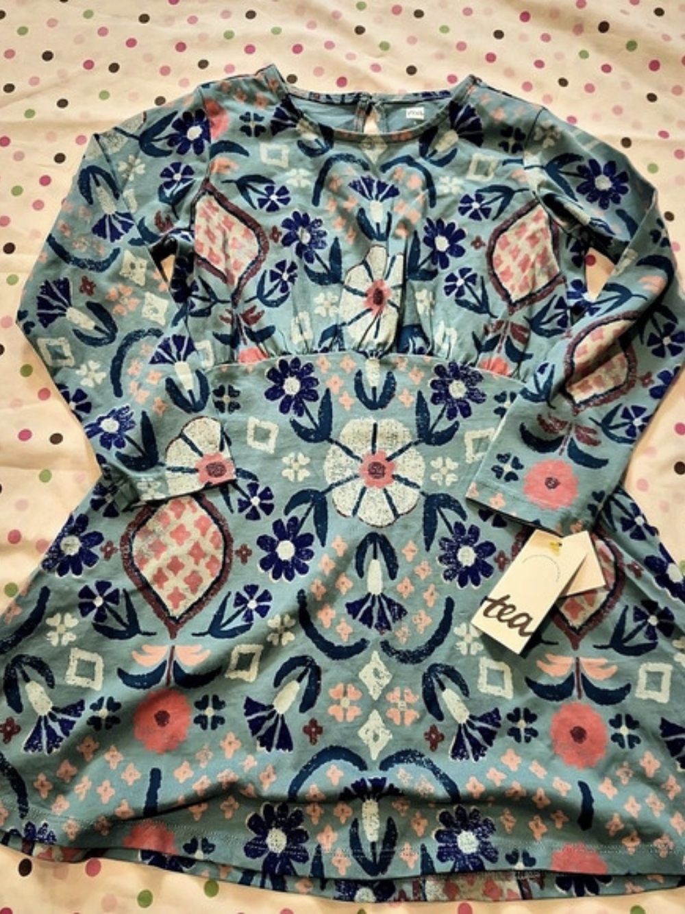 Tea Collection Long Sleeve Dress Girls Blue Pink Size 5 NWT
